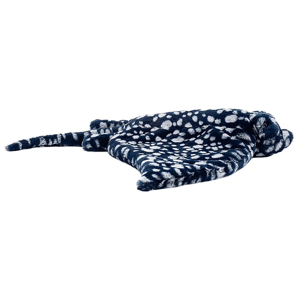 Ripple Leopard Ray