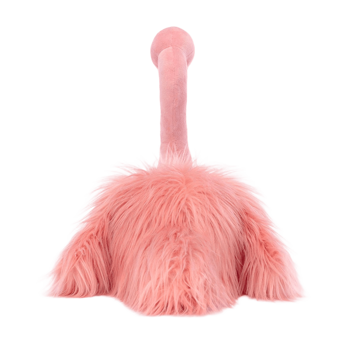 Rosario Flamingo