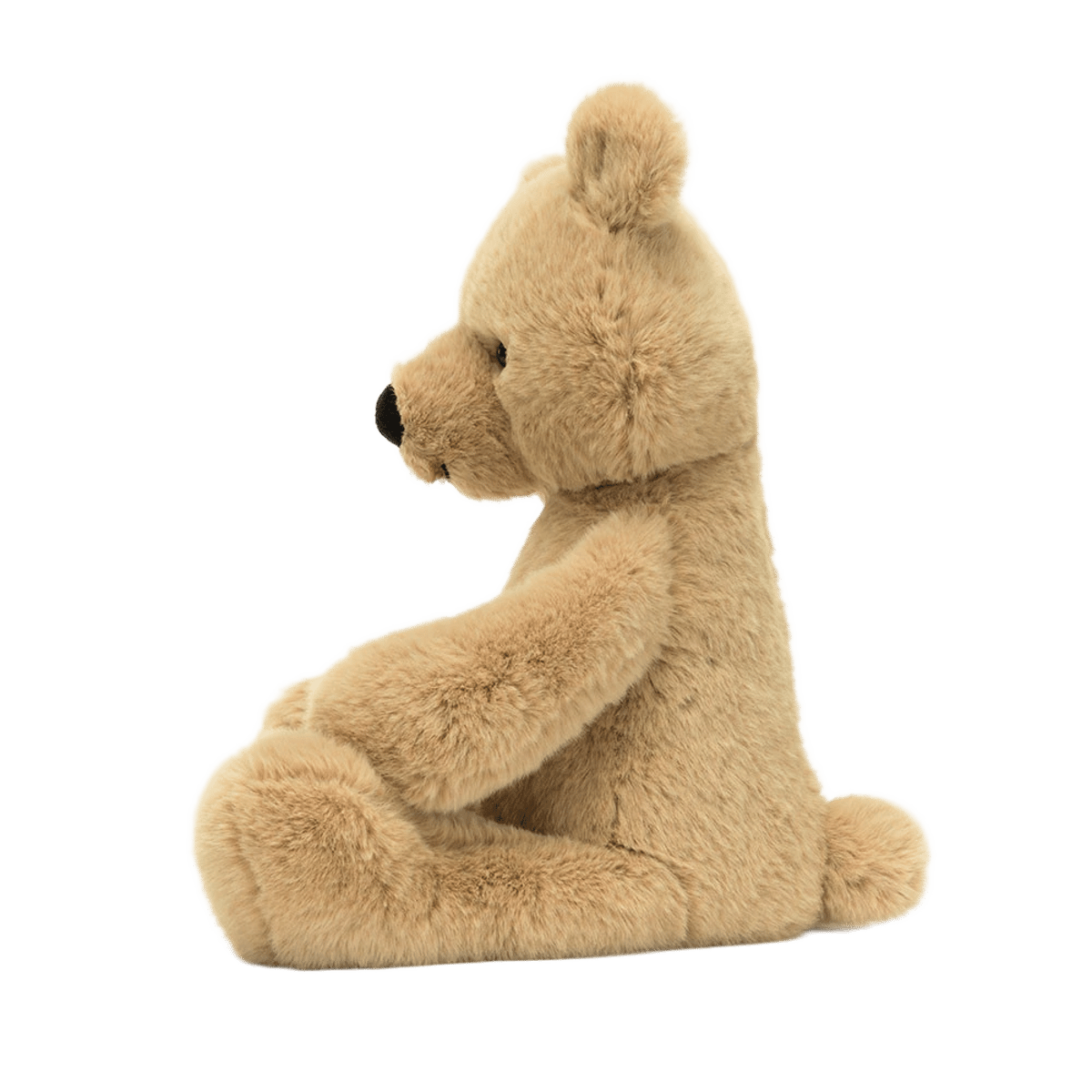 Rufus Bear