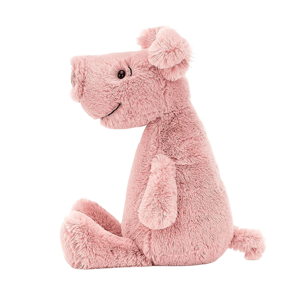 Rumpa Pig