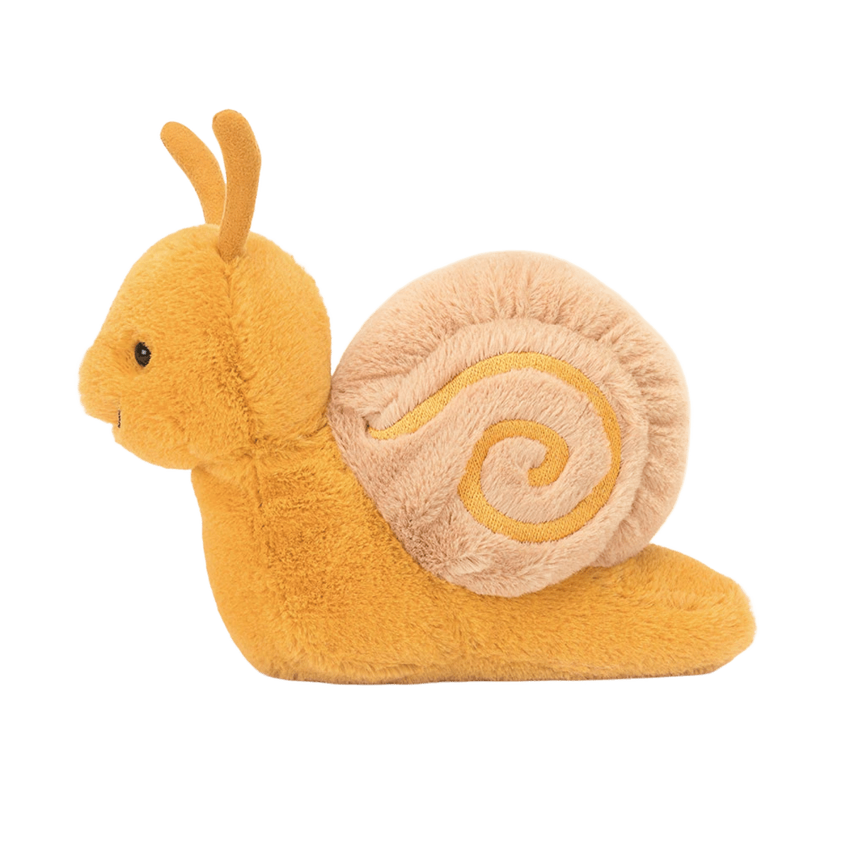 Sandy Snail