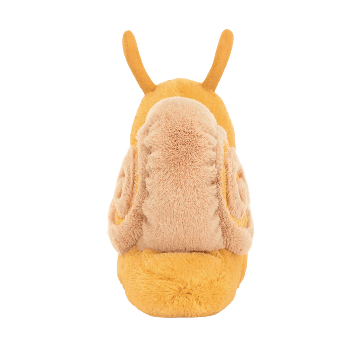 Sandy Snail