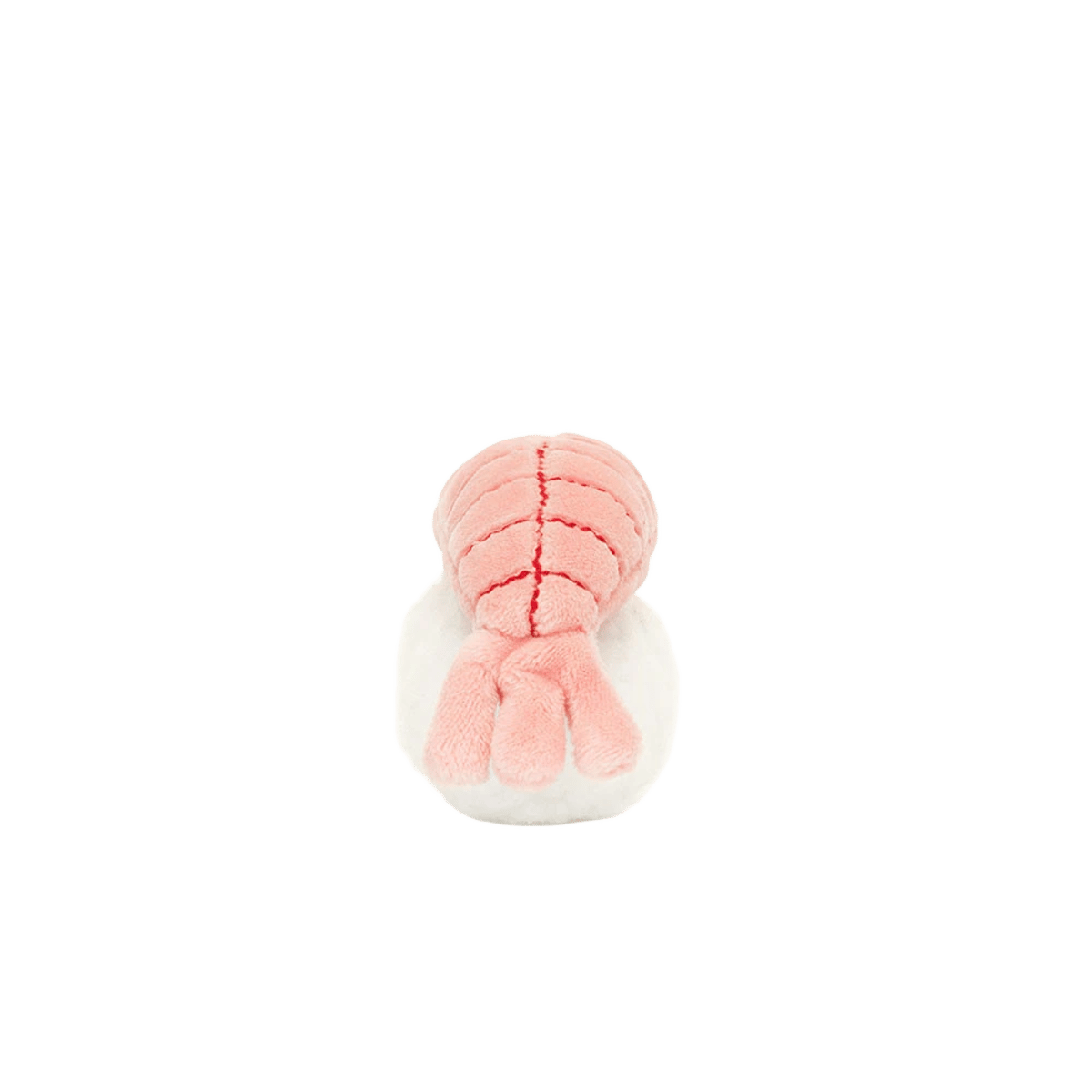 Sassy Sushi Nigiri
