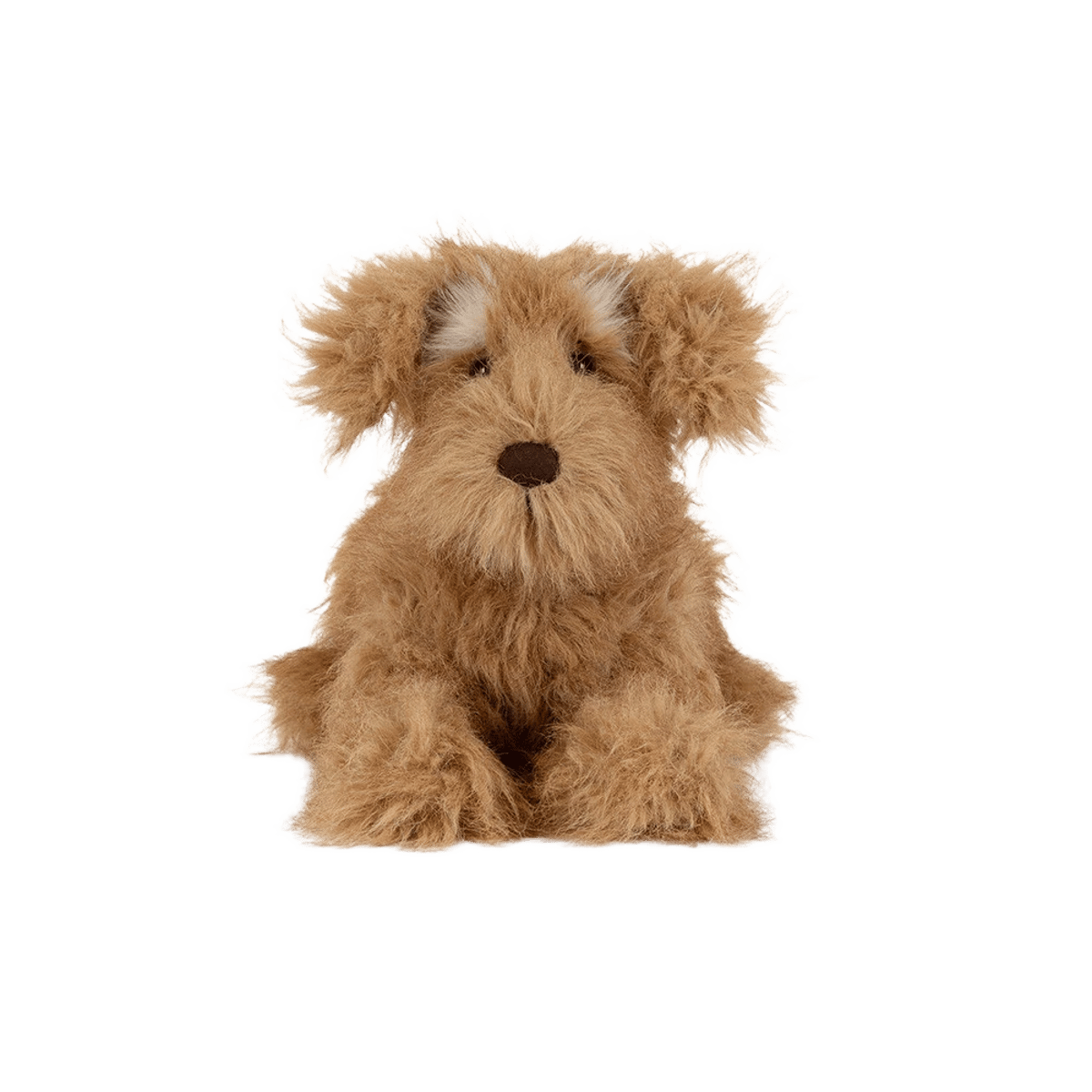 Scruffles Rescue Dog