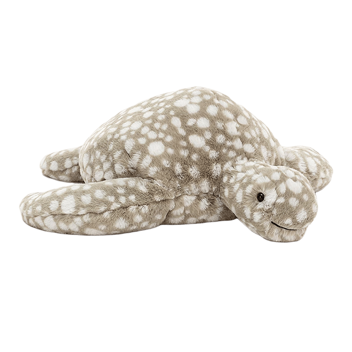 Shelby Sea Turtle