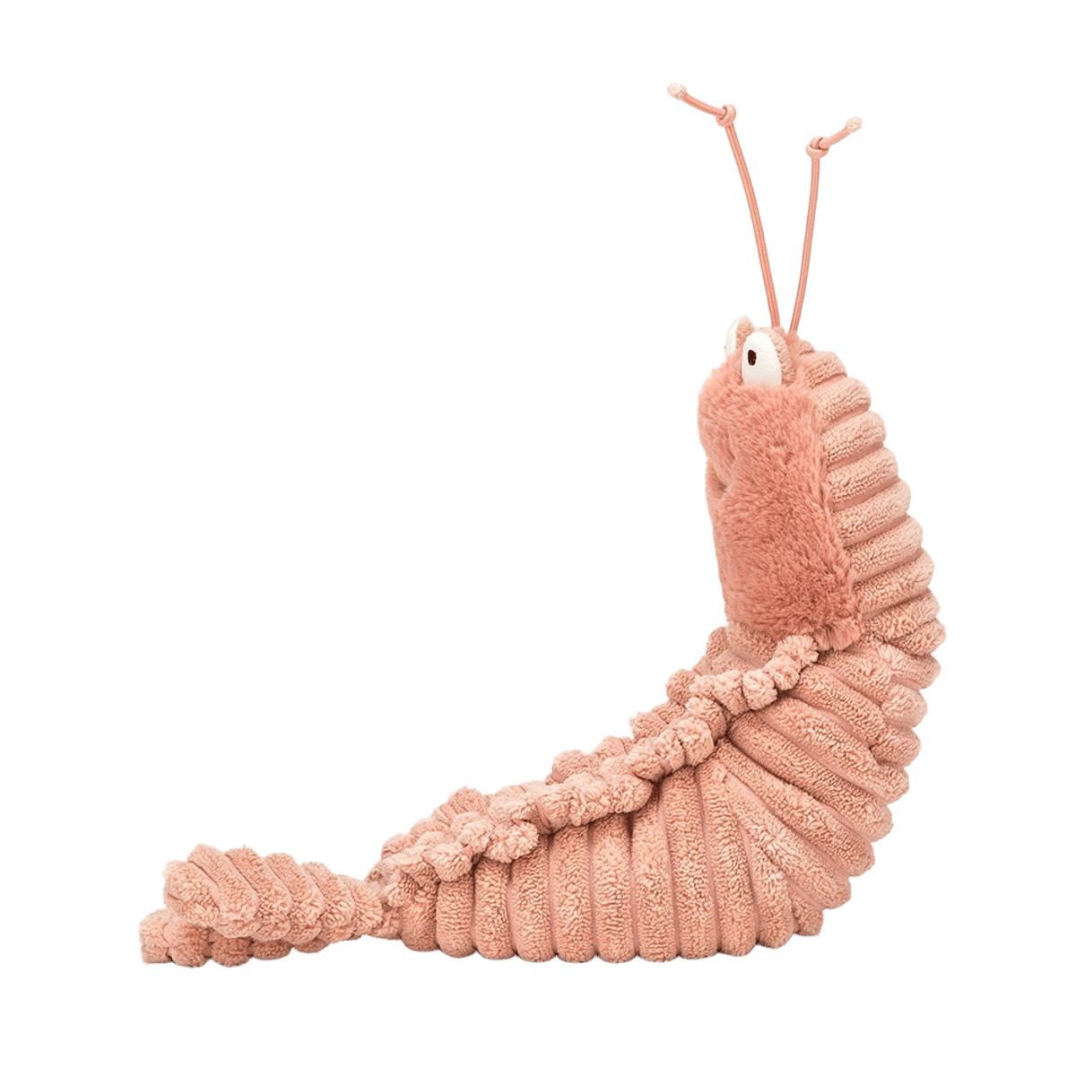Sheldon Shrimp