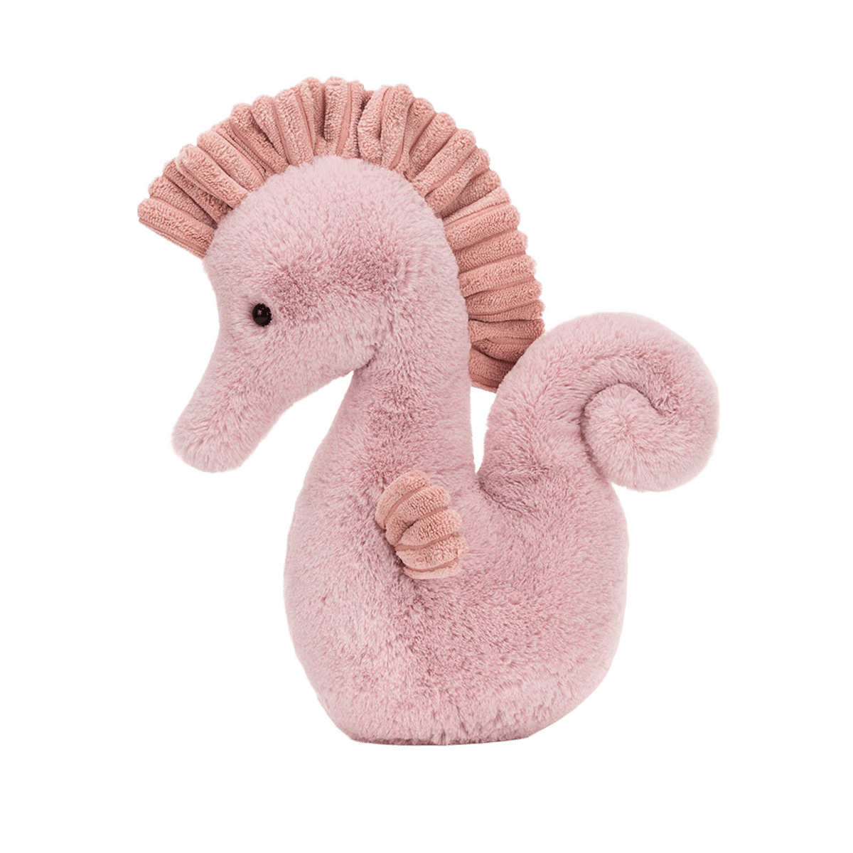 Sienna Seahorse