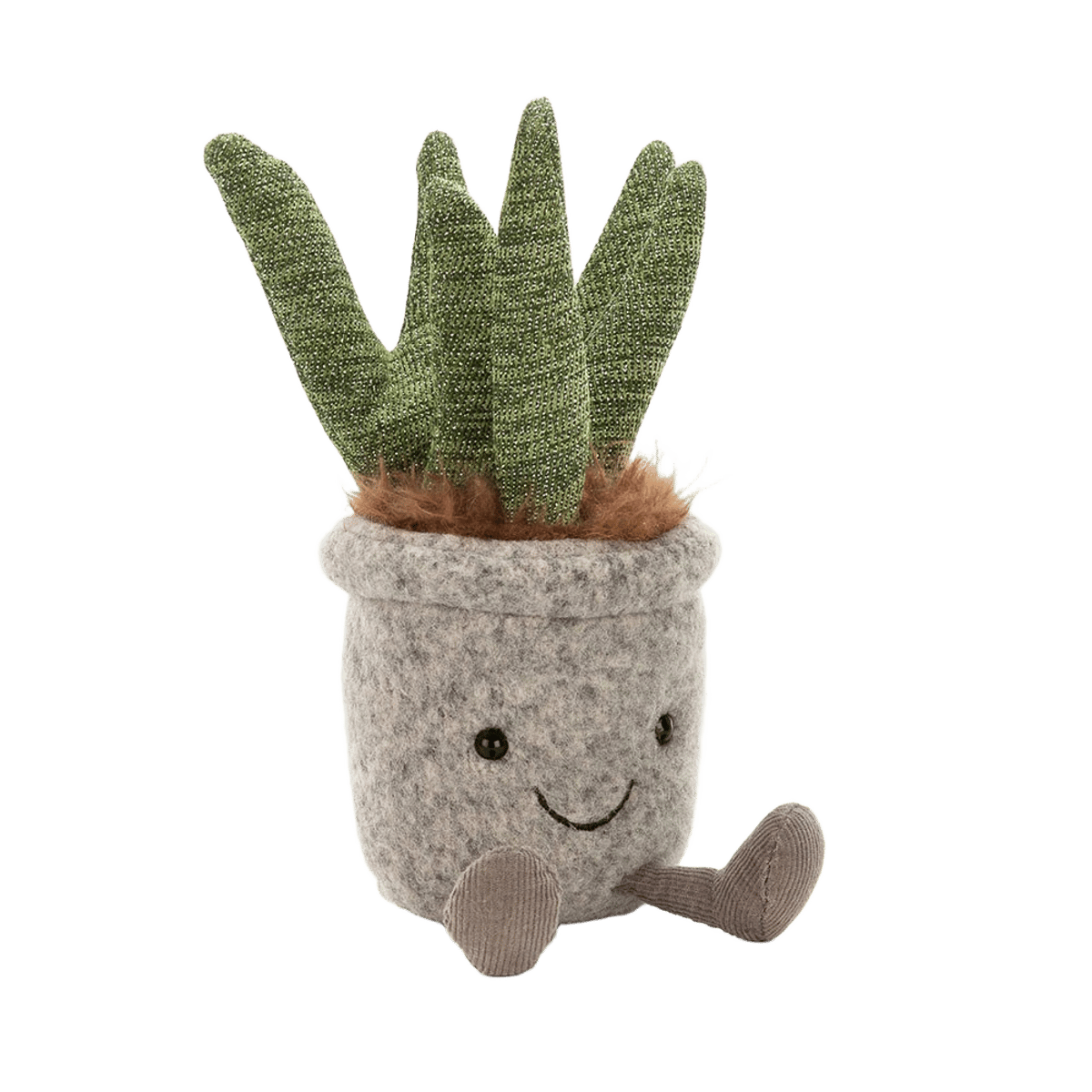 Silly Succulent Aloe
