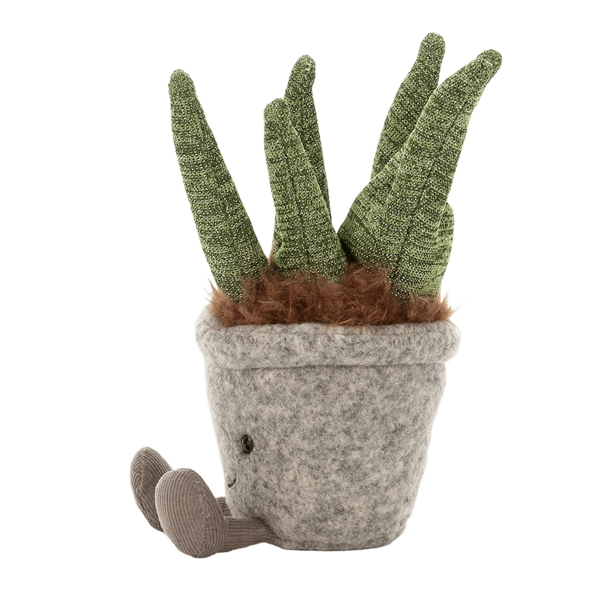 Silly Succulent Aloe
