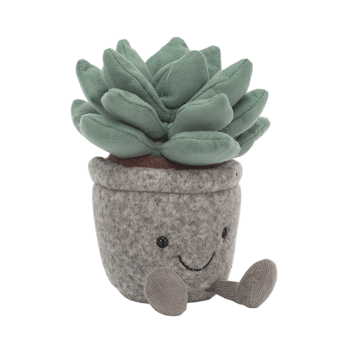 Silly Succulent Azulita
