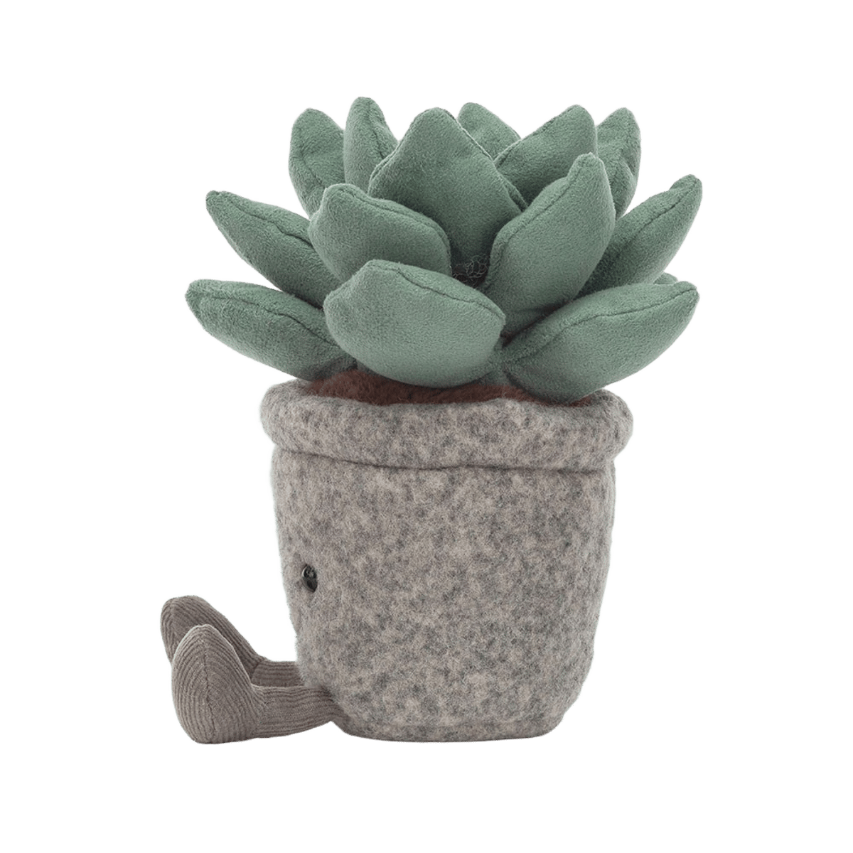 Silly Succulent Azulita
