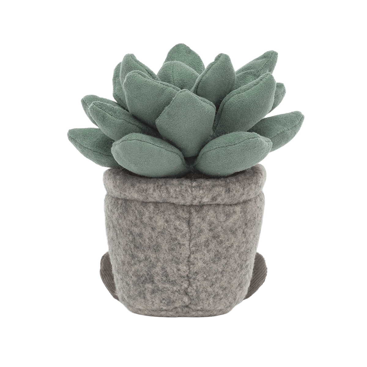 Silly Succulent Azulita