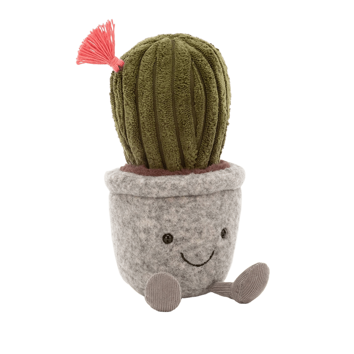 Silly Succulent Barrel Cactus