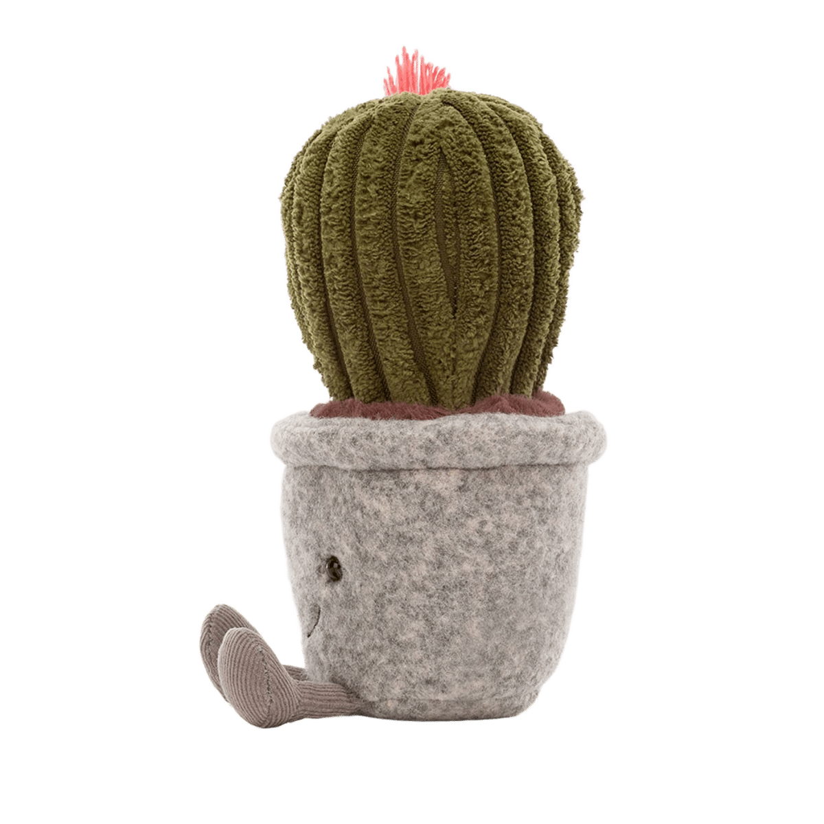 Silly Succulent Barrel Cactus