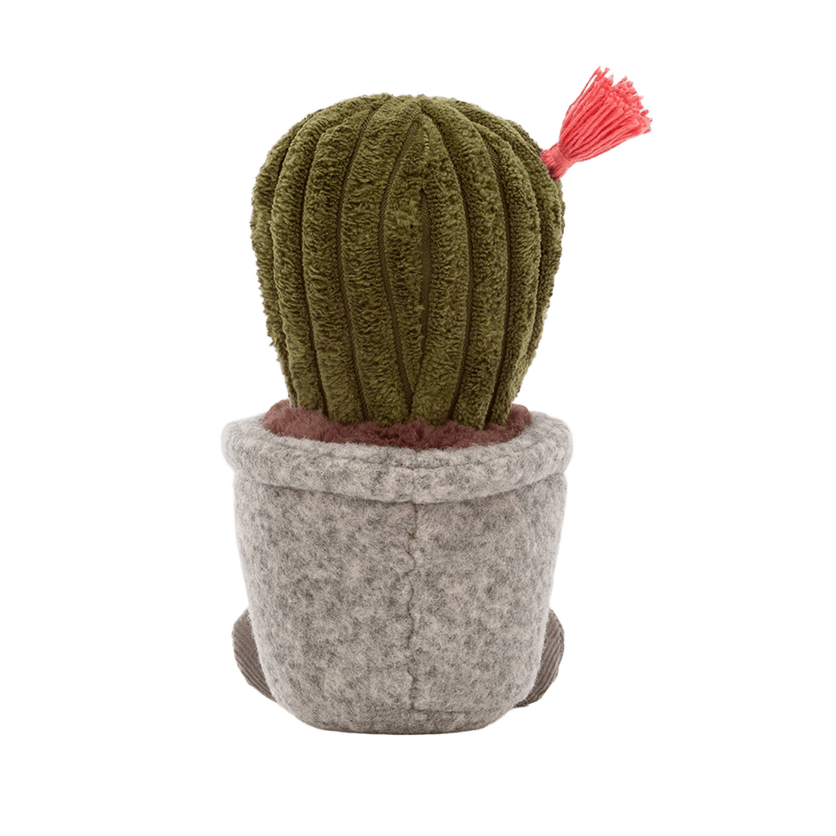 Silly Succulent Barrel Cactus