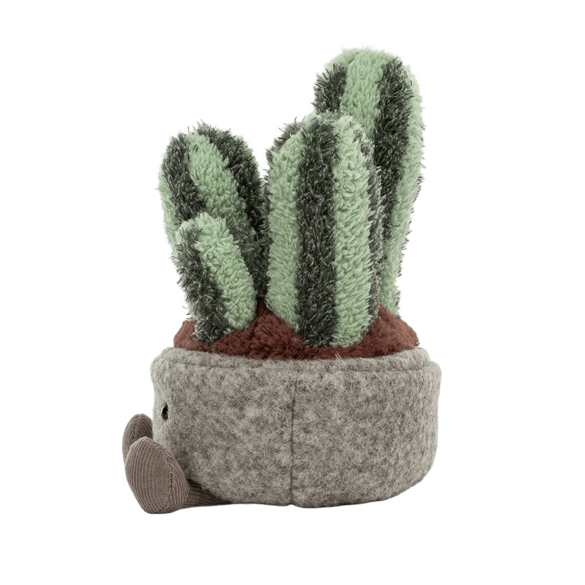 Silly Succulent Columnar Cactus