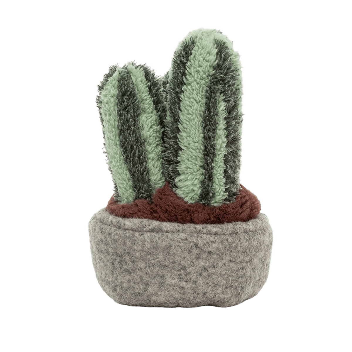 Silly Succulent Columnar Cactus