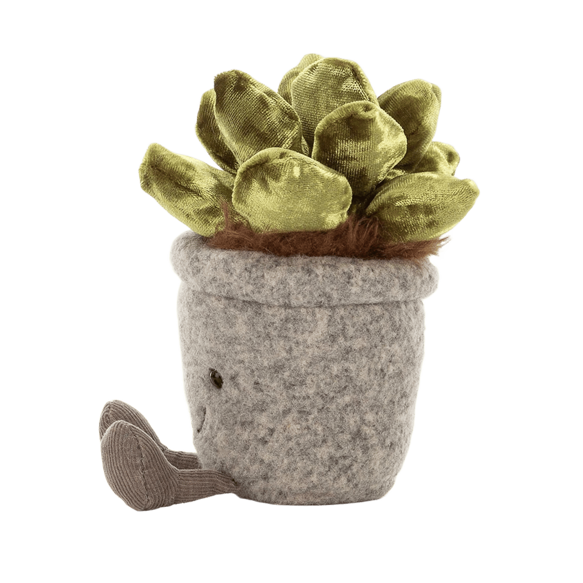 Silly Succulent Jade