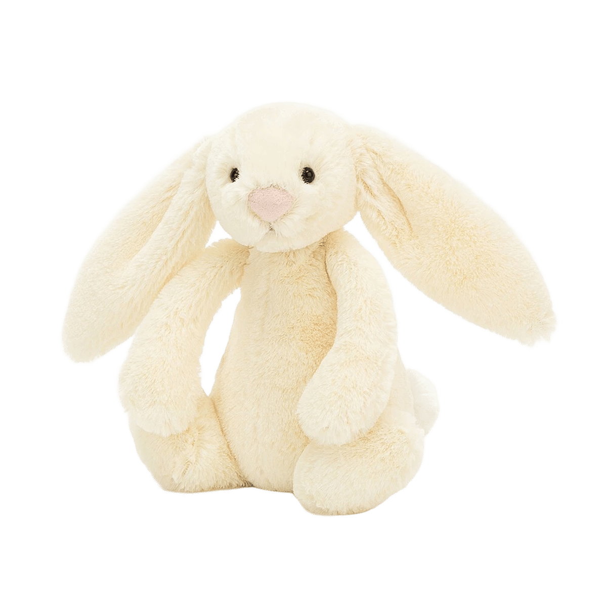Bashful Buttermilk Bunny
