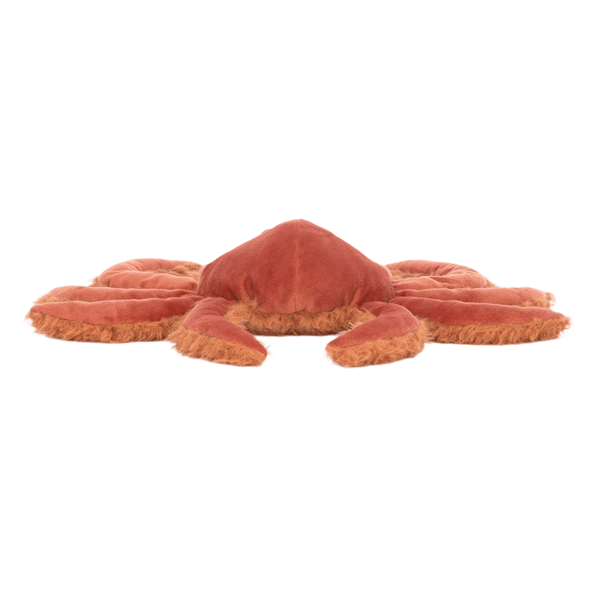 Spindleshanks Crab