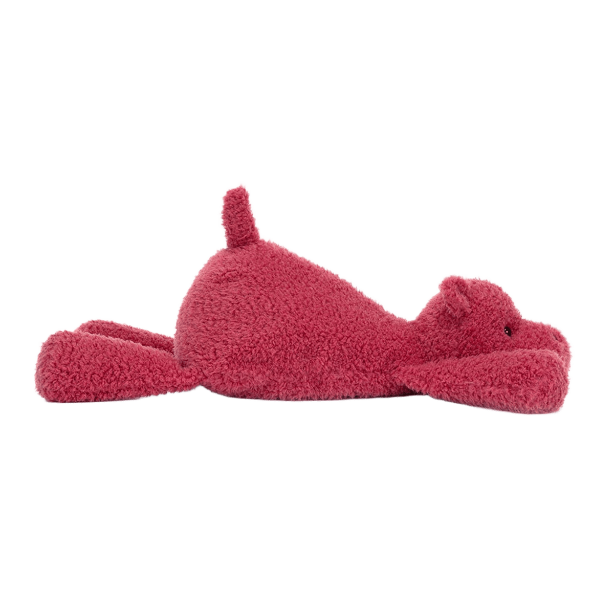 Splootie Hippo