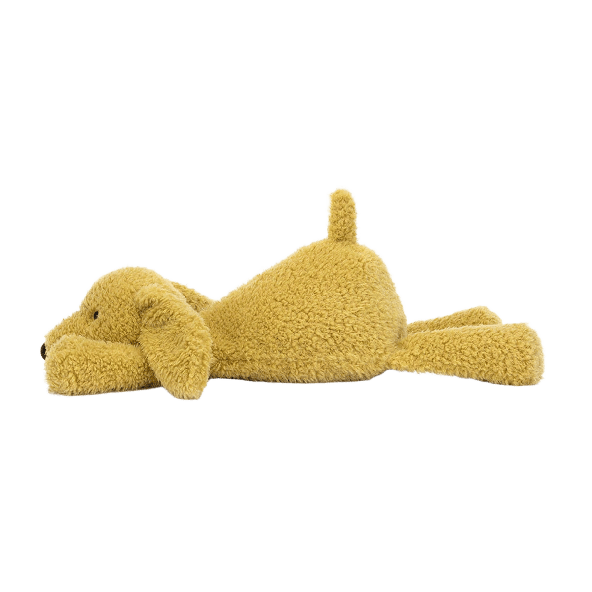 Splootie Puppy
