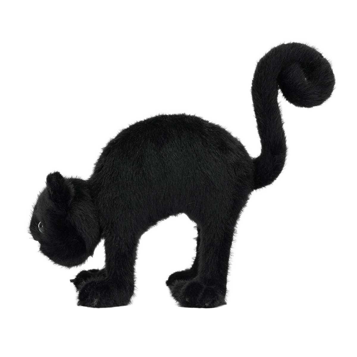 Spookipaws Cat