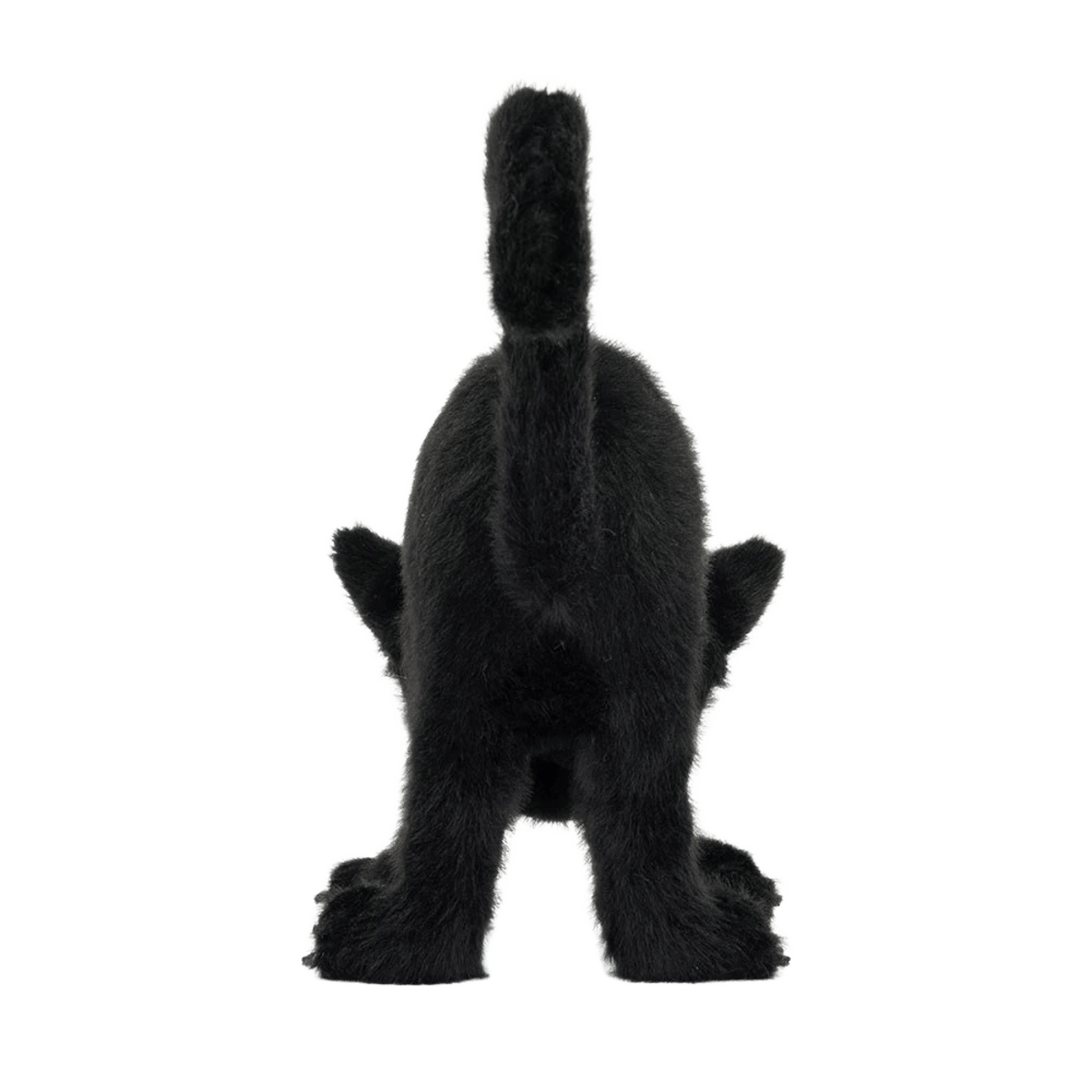 Spookipaws Cat