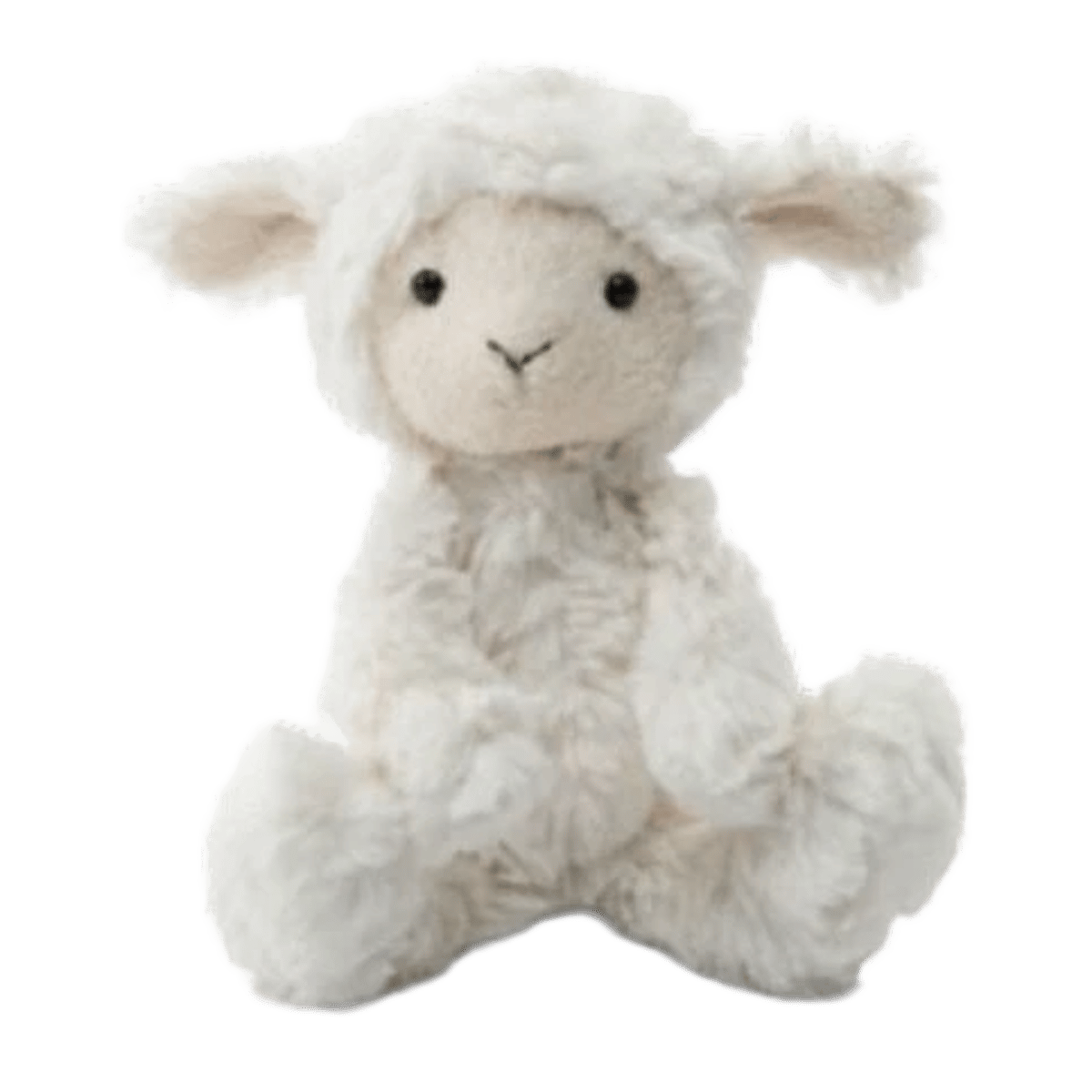 Squiggles Lamb