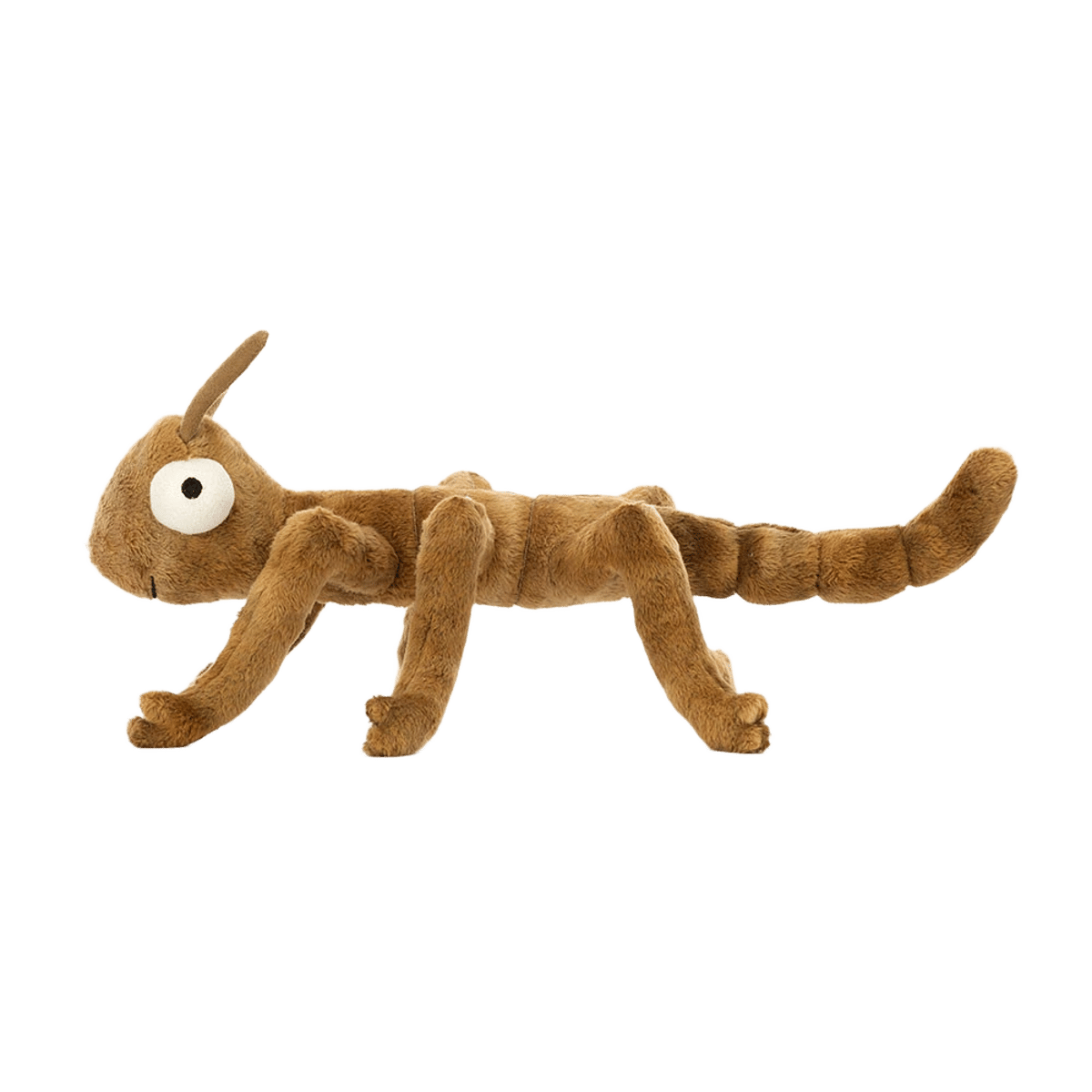 Stanley Stick Insect