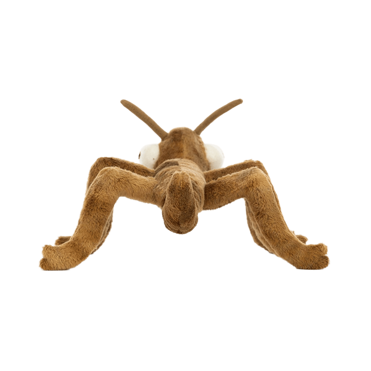 Stanley Stick Insect