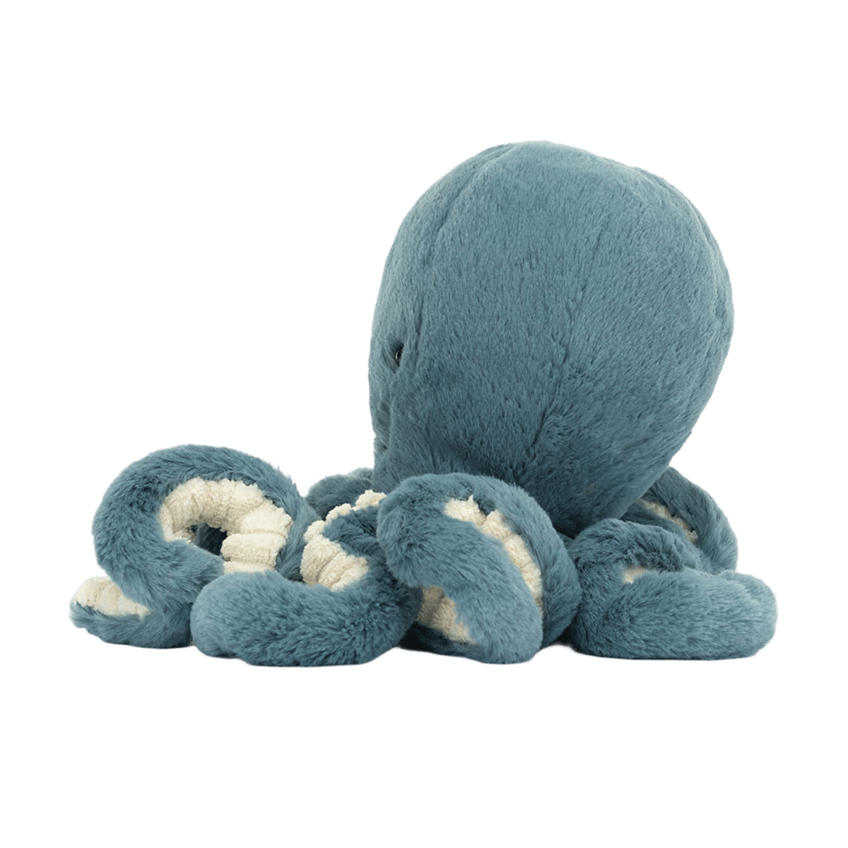 Storm Octopus