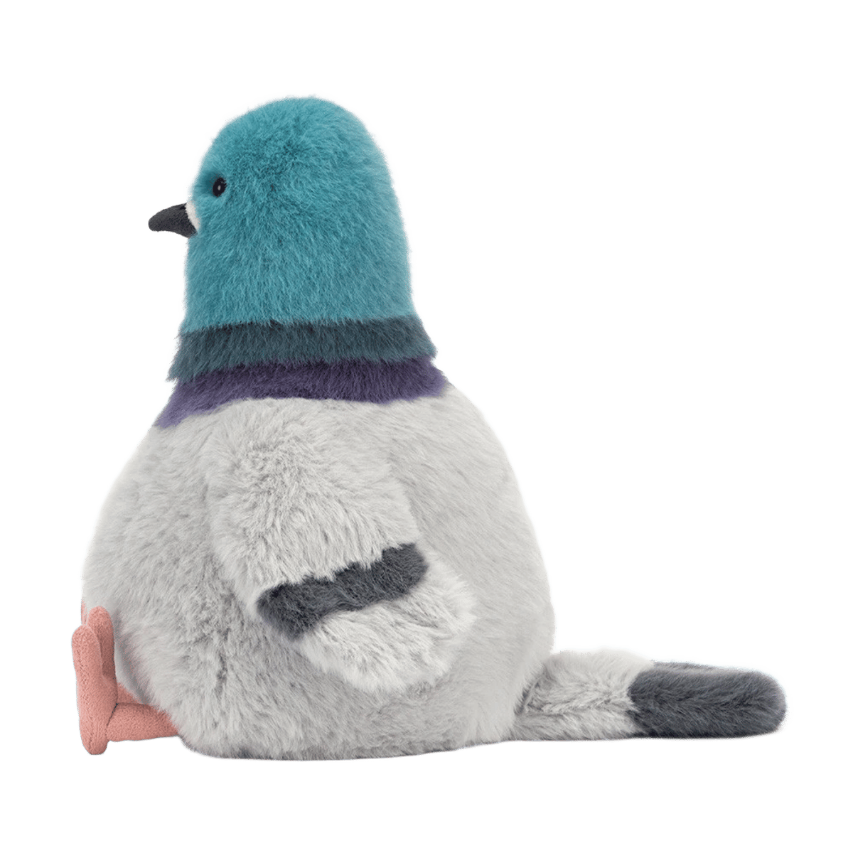 Strutton Pigeon