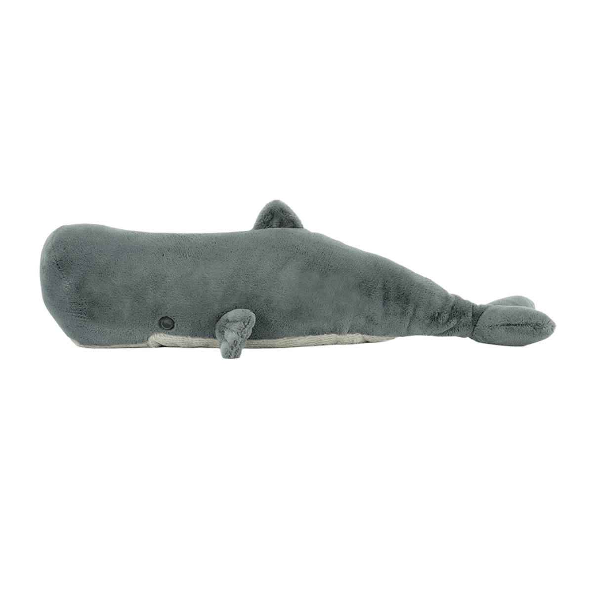 Sullivan the Sperm Whale