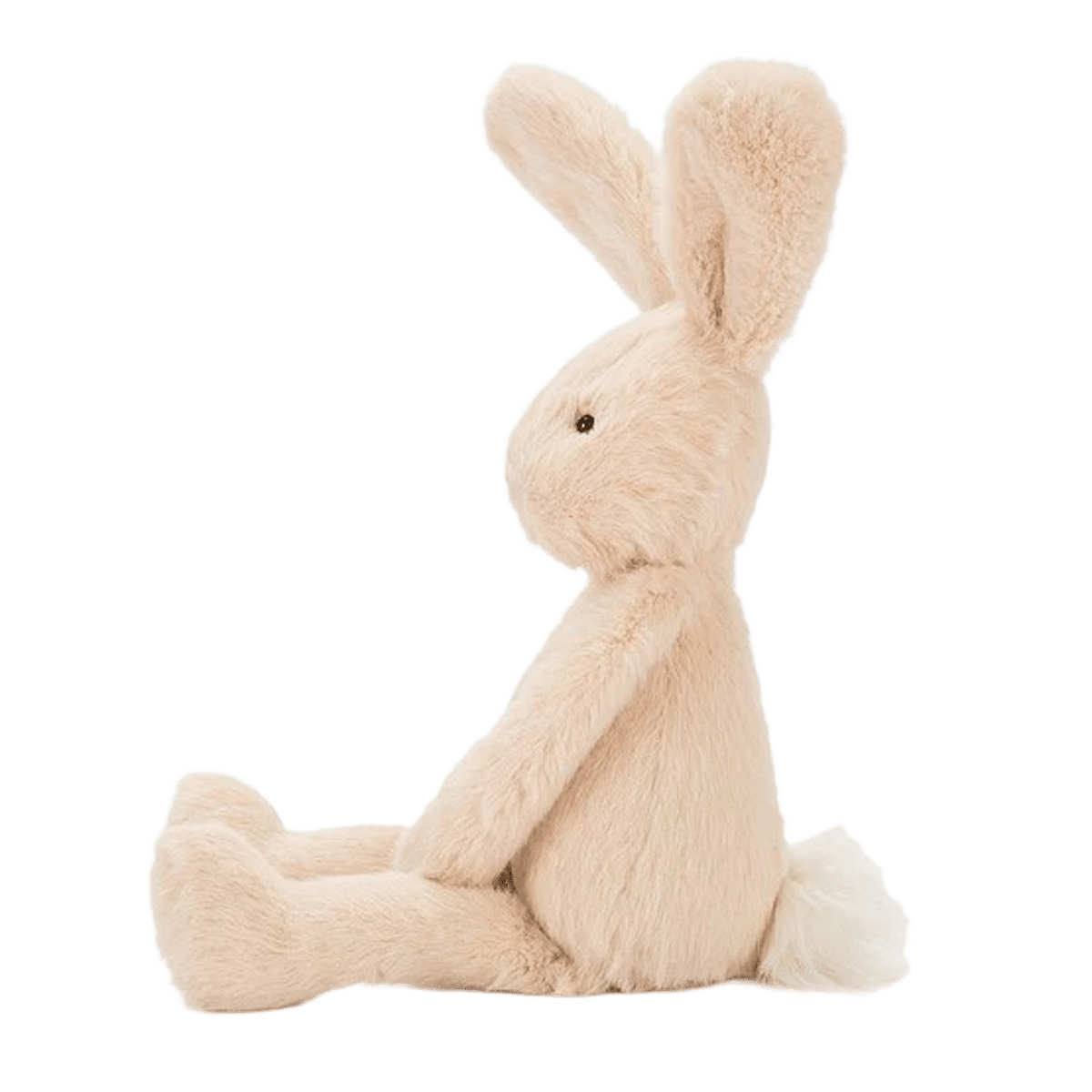 Sweetie Bunny
