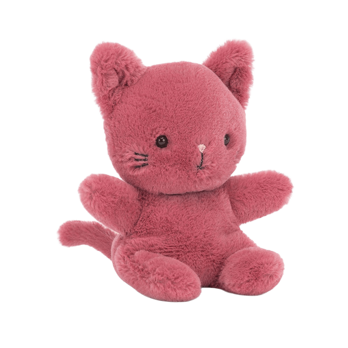 Sweetsicle Cat
