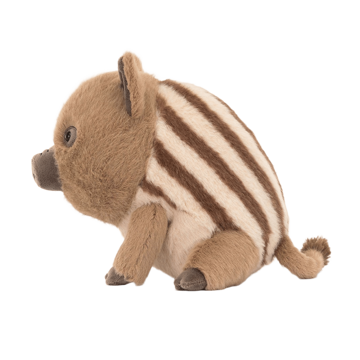 Swinley Boar