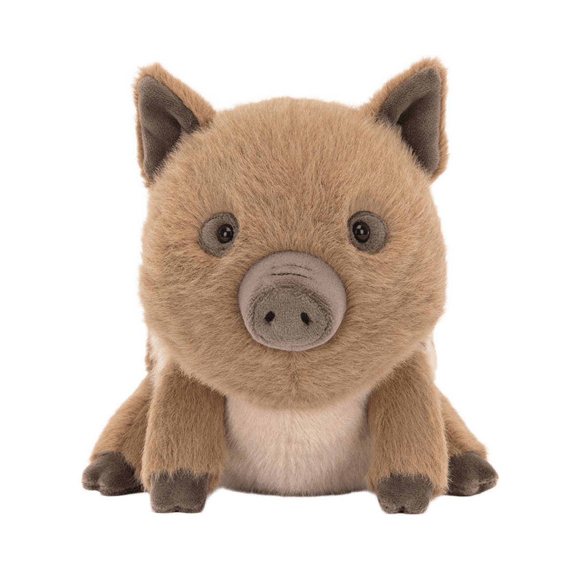 Swinley Boar