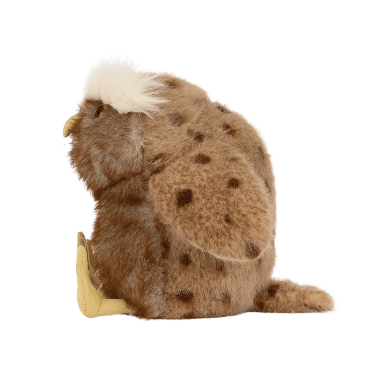 Tawoola Owl