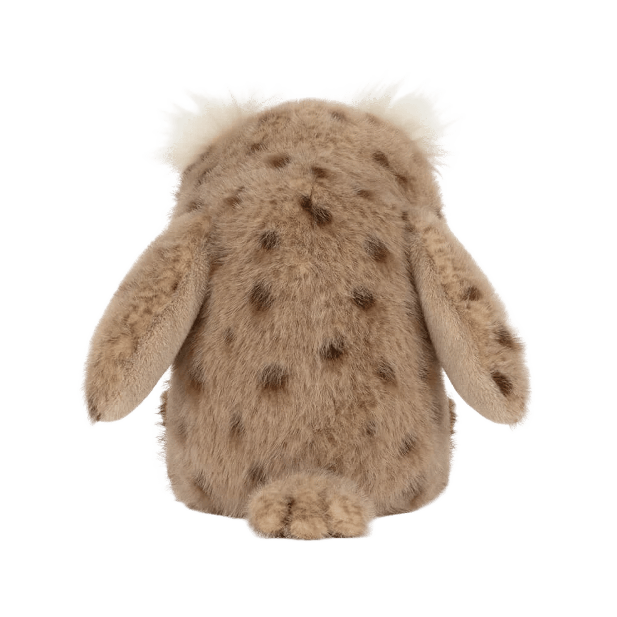 Tawoola Owl