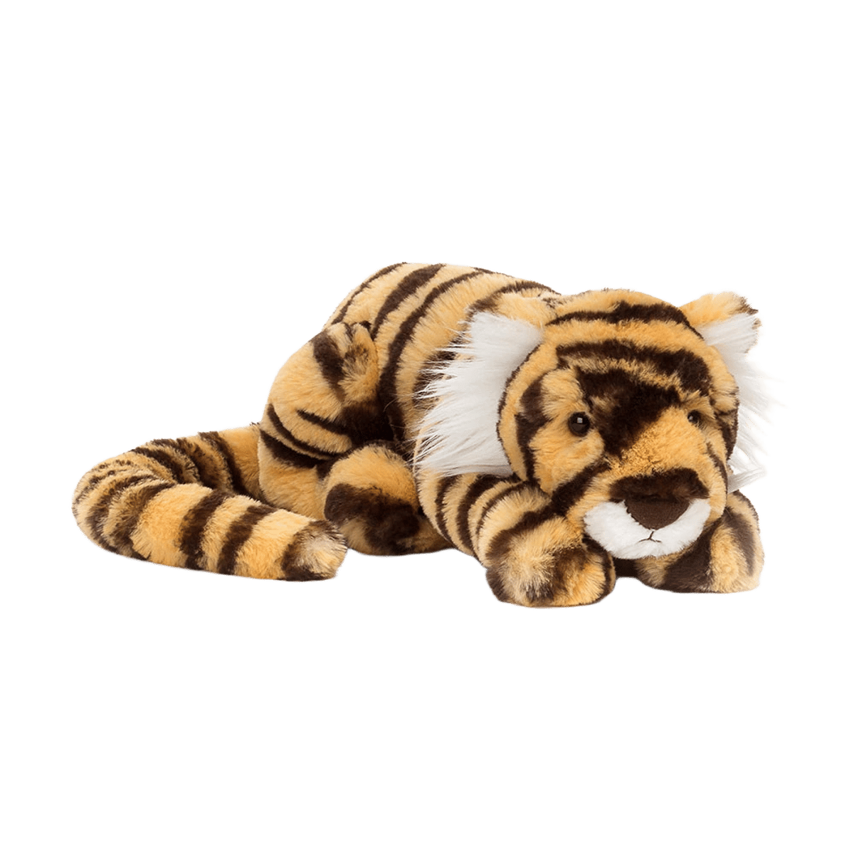 Taylor Tiger