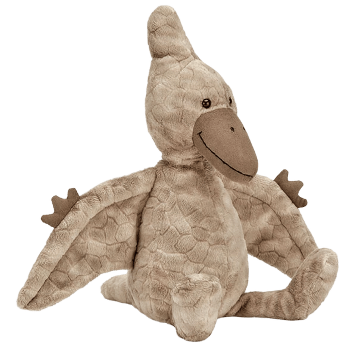 Terry Pterodactyl