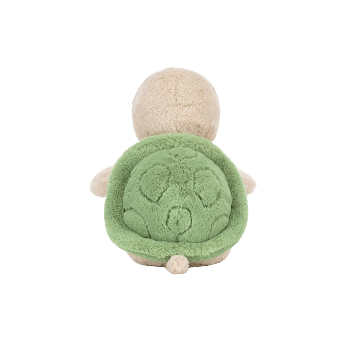 Thimble Turtle