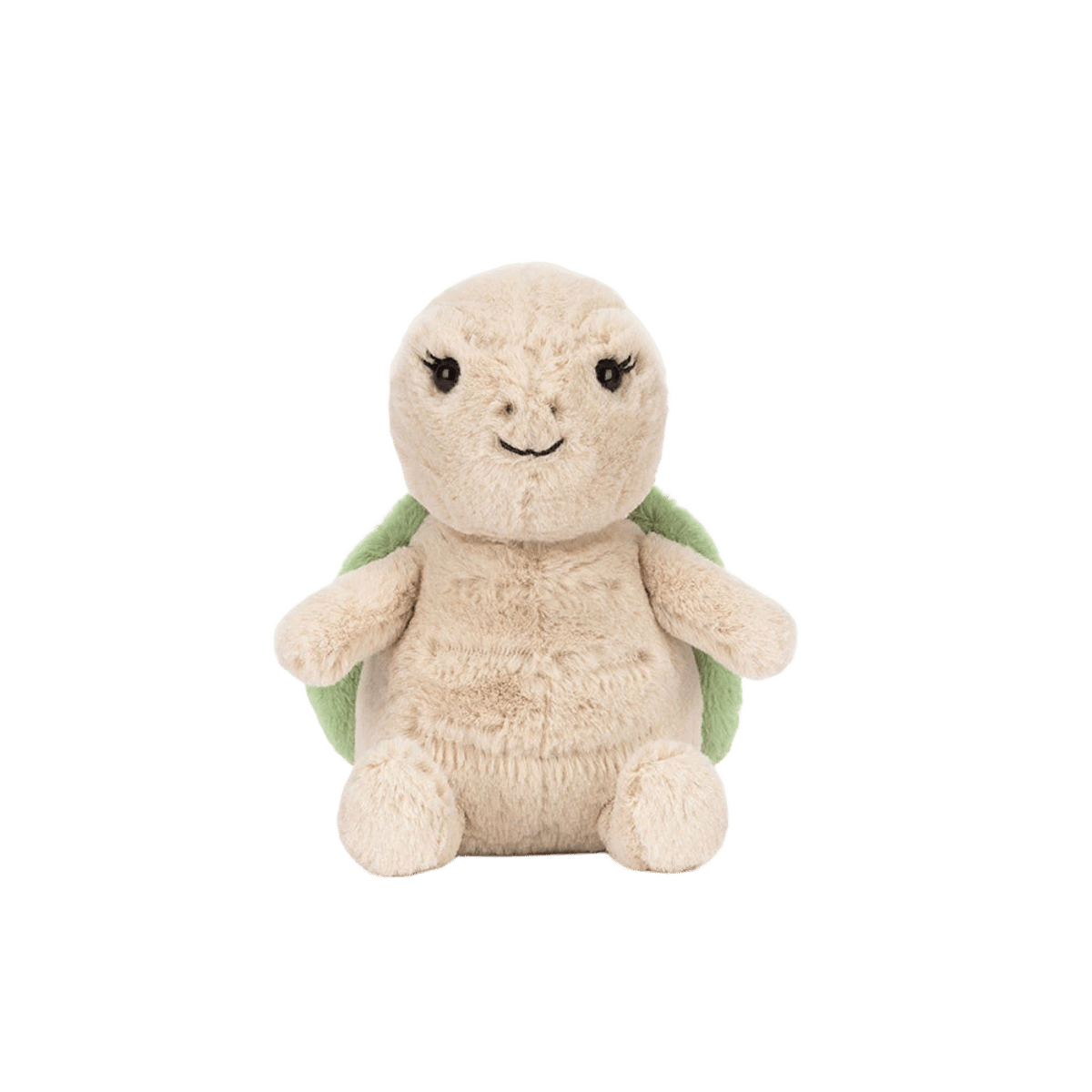 Thimble Turtle