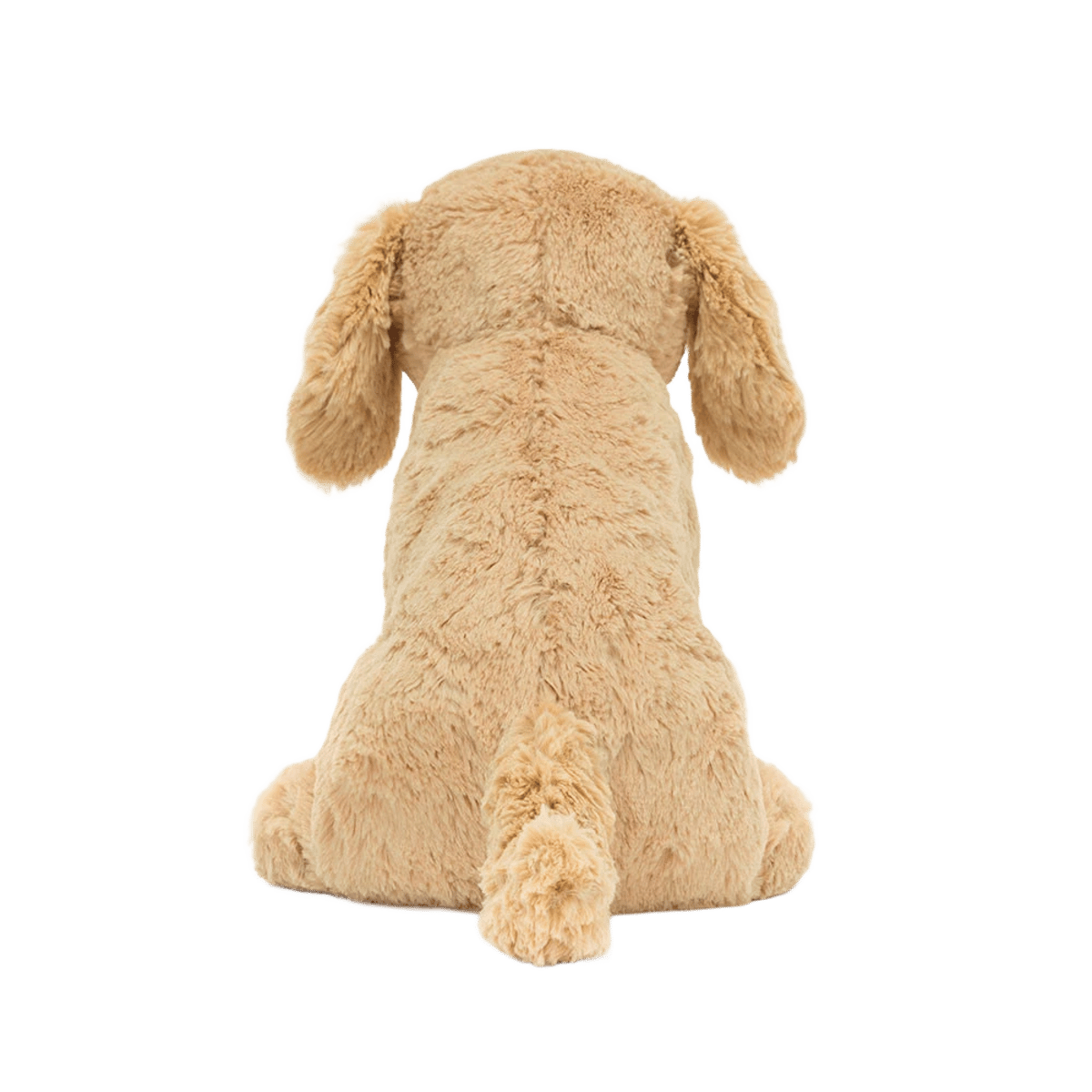 Tilly Golden Retriever