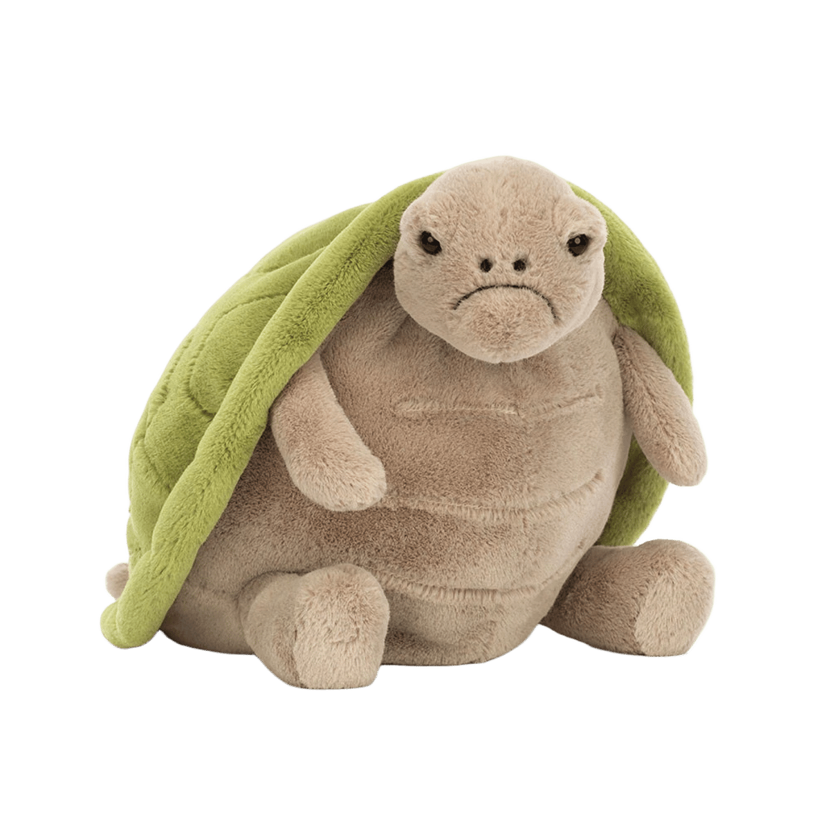 Timmy Turtle