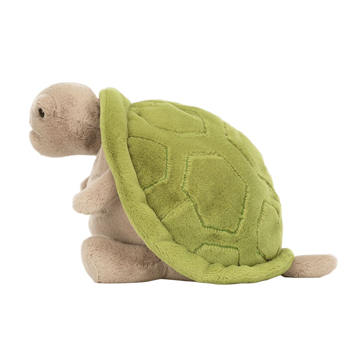 Timmy Turtle