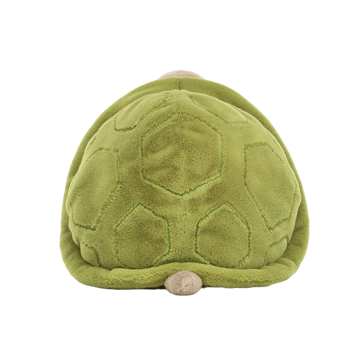 Timmy Turtle