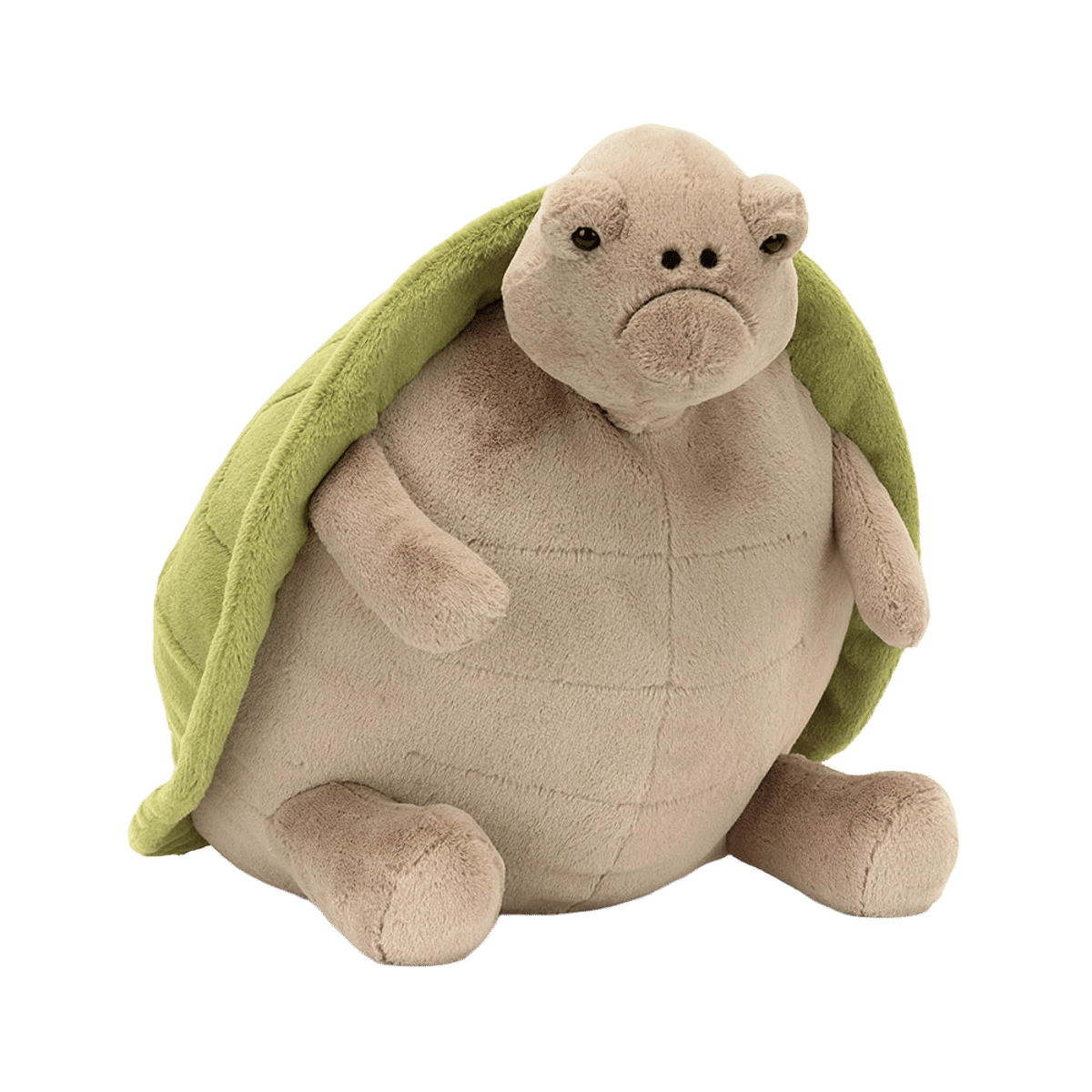 Timmy Turtle