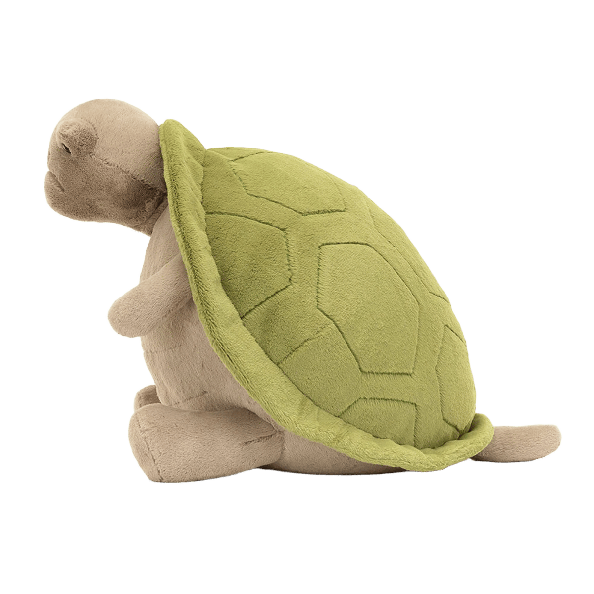 Timmy Turtle